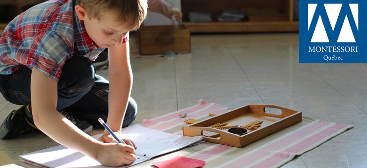 À propos de l'École Montessori de Québec